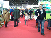 Brussels holiday fair / Brussels Travel Top