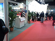 Brussels holiday fair / Brussels Travel Top