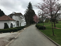 Programs for Golf and gastronomy in Slovenia